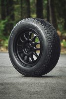 BFGoodrich Trail-Terrain T/A+ lastiği